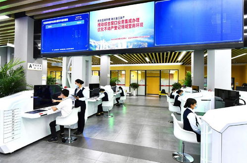 新時代文明實踐 市級管轄企業登記業務可在城市副中心辦理