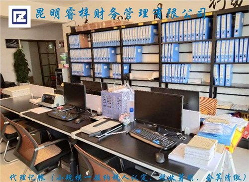 云南專業財務代理