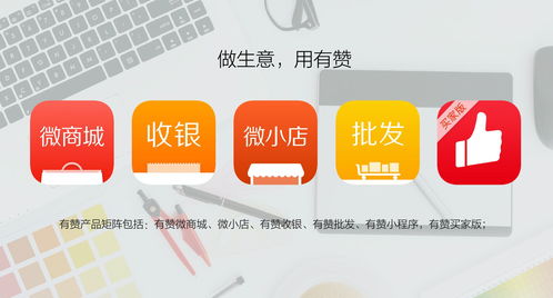 企業店鋪的最終選擇 有贊代運營