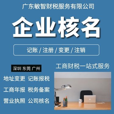 代辦公司注冊 商務服務