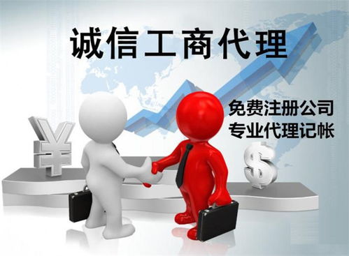 代辦記賬財務(wù)公司 興國縣記賬 金漫庭代辦公司收費低