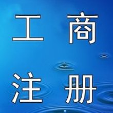 上海雙木企業(yè)登記代理事務(wù)所 供應(yīng)產(chǎn)品